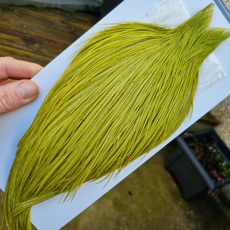 Whiting High and Dry Rooster Cape in Olive-5